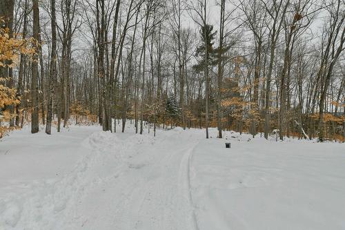 Cour - 6590 Route 125, Rawdon, QC - Outdoor