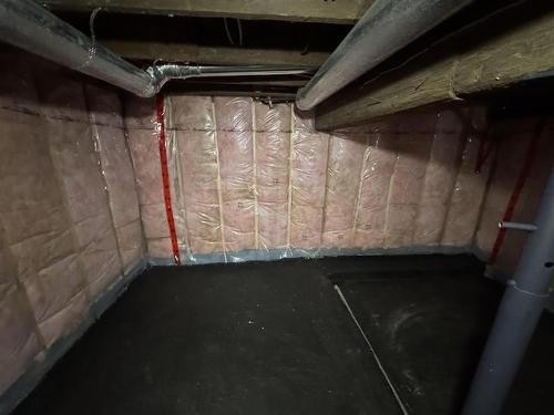 1322 Georgina Avenue, Thunder Bay, ON - Indoor Photo Showing Basement