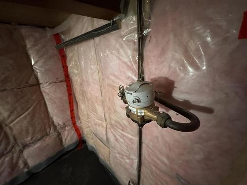 1322 Georgina Avenue, Thunder Bay, ON - Indoor Photo Showing Basement