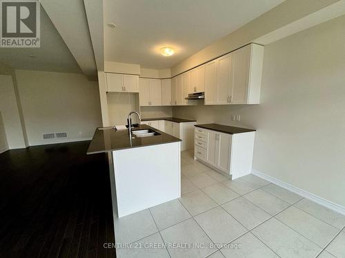 183 Broadacre Drive, Kitchener, ON - Indoor Photo Showing Kitchen