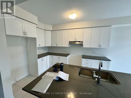 183 Broadacre Drive, Kitchener, ON - Indoor Photo Showing Kitchen