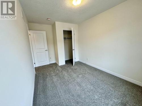 183 Broadacre Drive, Kitchener, ON - Indoor Photo Showing Other Room