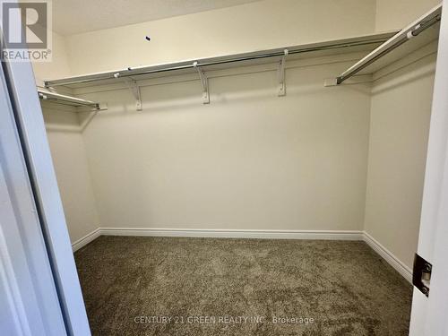 183 Broadacre Drive, Kitchener, ON - Indoor With Storage