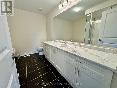 183 Broadacre Drive, Kitchener, ON - Indoor Photo Showing Bathroom