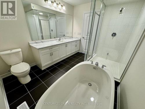 183 Broadacre Drive, Kitchener, ON - Indoor Photo Showing Bathroom