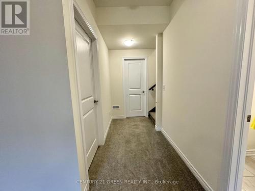 183 Broadacre Drive, Kitchener, ON - Indoor Photo Showing Other Room