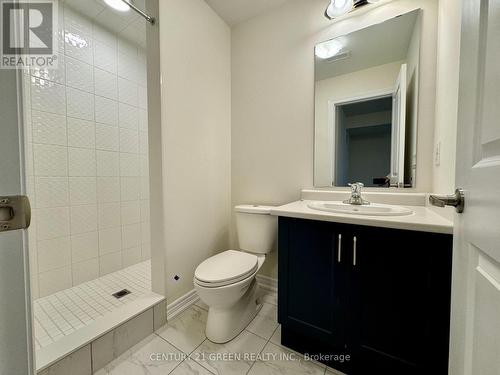 183 Broadacre Drive, Kitchener, ON - Indoor Photo Showing Bathroom