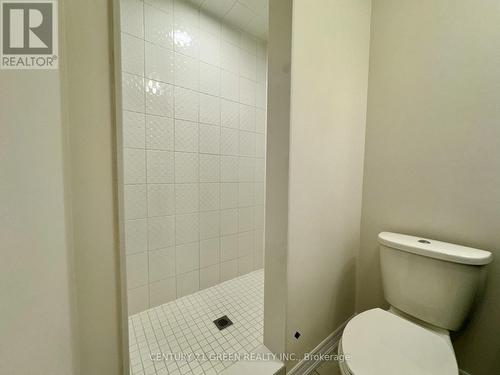 183 Broadacre Drive, Kitchener, ON - Indoor Photo Showing Bathroom