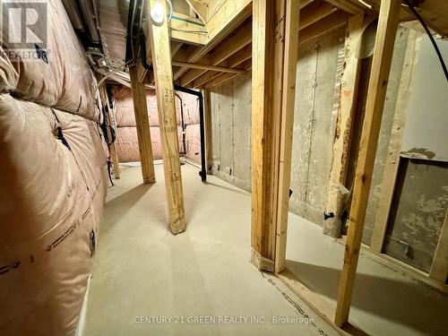 183 Broadacre Drive, Kitchener, ON - Indoor Photo Showing Basement
