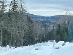 839 Rg Sacacomie  Saint-Alexis-Des-Monts, QC J0K 1V0