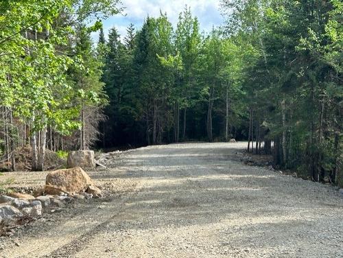 Autre - 839 Rg Sacacomie, Saint-Alexis-Des-Monts, QC 