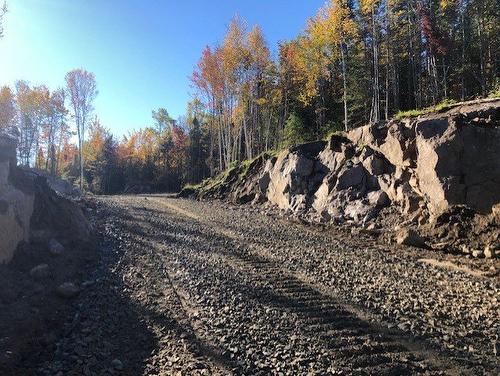 Autre - 839 Rg Sacacomie, Saint-Alexis-Des-Monts, QC 