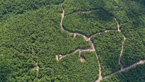 Autre - 839 Rg Sacacomie, Saint-Alexis-Des-Monts, QC 