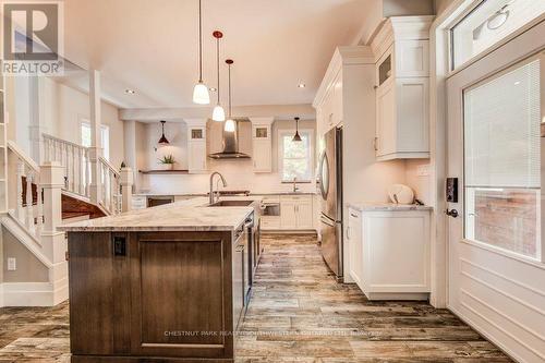 350 Queen Street S, Kitchener, ON - Indoor Photo Showing Kitchen With Upgraded Kitchen