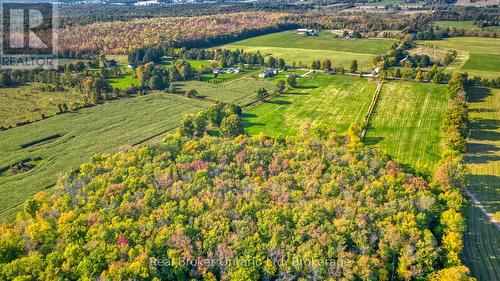 Summer 2025 - 144080 Sdrd 15, Meaford, ON 