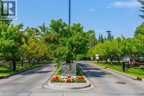 The lake entrance in the summer - 247 Mt Selkirk Close Se, Calgary, AB - Outdoor With View