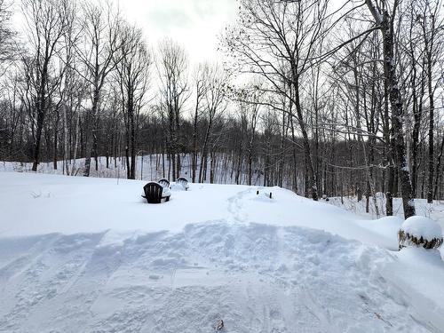 Backyard - 48 Rue De München, Brownsburg-Chatham, QC - Outdoor With View