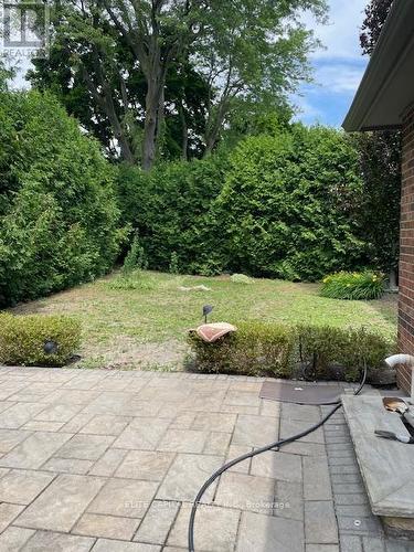 22 Elkpath Avenue, Toronto, ON - Outdoor