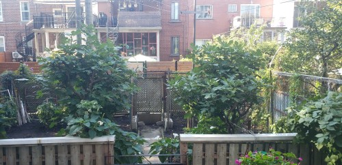 Chambre à coucher - 1026  - 1030 Av. D'Oxford, Montréal (Côte-Des-Neiges/Notre-Dame-De-Grâce), QC - Indoor Photo Showing Other Room