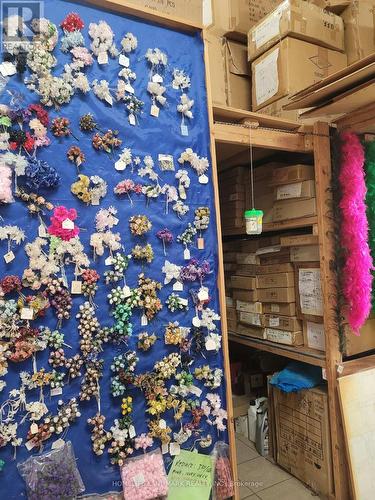 817 King Street E, Hamilton, ON 