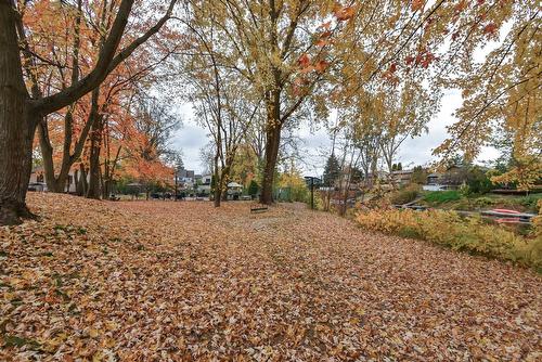 Backyard - 715-2555 Av. Du Havre-Des-Îles, Laval (Chomedey), QC - Outdoor