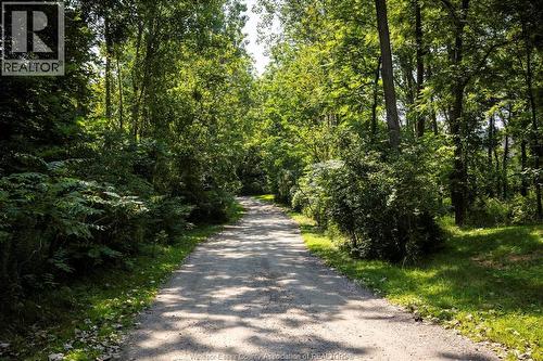 507 Ladale Lane, Wheatley, ON - Outdoor With View