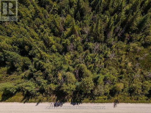 49 Lake Drive, West Grey, ON 