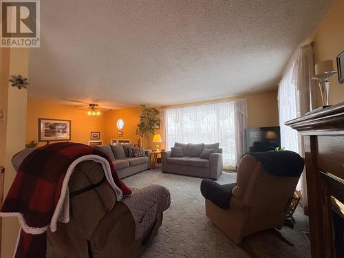 10 Nippards Lane, Embree, NL - Indoor Photo Showing Living Room
