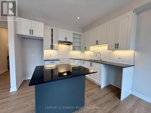 532 Promontory Place, Ottawa, ON - Indoor Photo Showing Kitchen With Double Sink With Upgraded Kitchen
