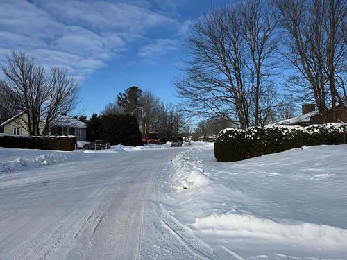 À proximité - 24 Av. Des Saules, Notre-Dame-Des-Prairies, QC - Outdoor