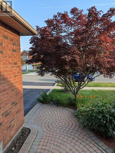 5533 Loonlake Avenue, Mississauga, ON - Outdoor