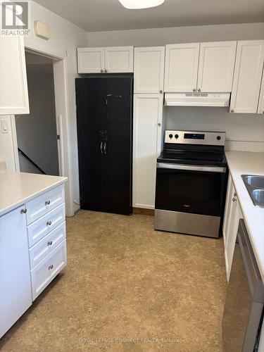 4130 Lawrence Avenue E, Toronto, ON - Indoor Photo Showing Kitchen With Double Sink