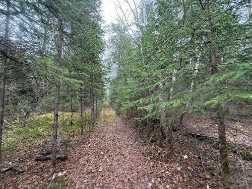 Land/Lot - 2491  - 2499 Ch. Des Pinsons, Nominingue, QC - Outdoor
