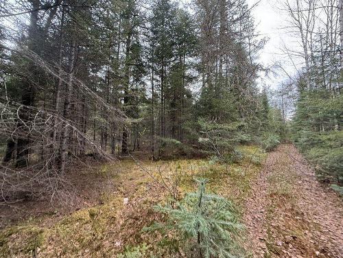 Land/Lot - 2491  - 2499 Ch. Des Pinsons, Nominingue, QC - Outdoor With View