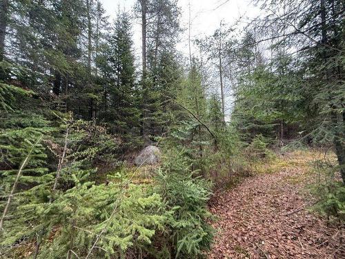 Land/Lot - 2491  - 2499 Ch. Des Pinsons, Nominingue, QC - Outdoor