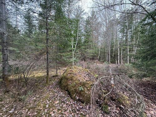 Land/Lot - 2491  - 2499 Ch. Des Pinsons, Nominingue, QC - Outdoor With View
