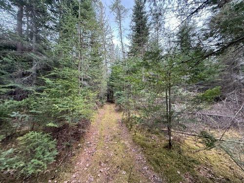 Land/Lot - 2491  - 2499 Ch. Des Pinsons, Nominingue, QC - Outdoor