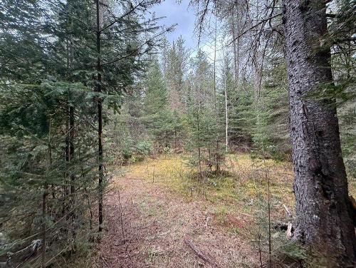 Land/Lot - 2491  - 2499 Ch. Des Pinsons, Nominingue, QC - Outdoor With View