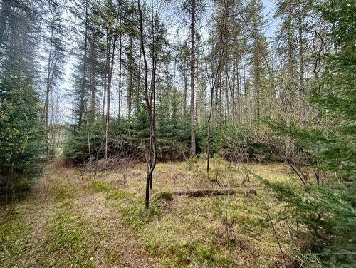 Land/Lot - 2491  - 2499 Ch. Des Pinsons, Nominingue, QC - Outdoor