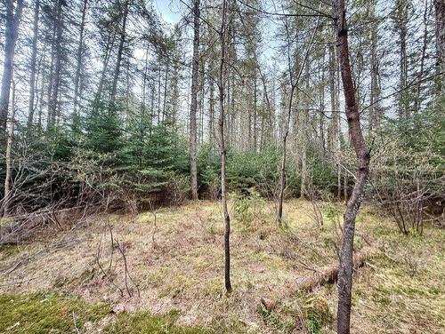 Land/Lot - 2491  - 2499 Ch. Des Pinsons, Nominingue, QC - Outdoor With View