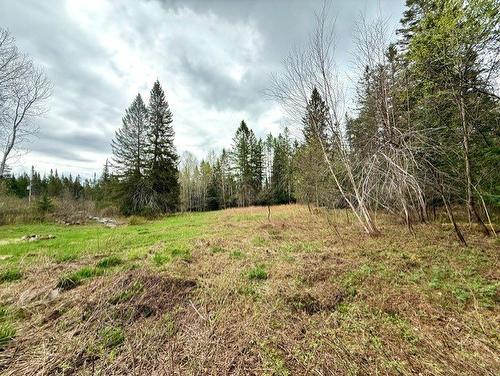 Land/Lot - 2491  - 2499 Ch. Des Pinsons, Nominingue, QC - Outdoor With View
