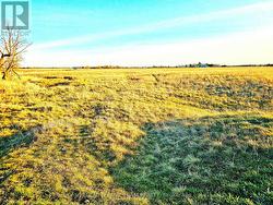 4056 HIGHWAY 17 HIGHWAY  Ottawa, ON K0A 2H0