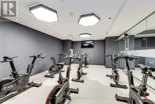 Gym - 2006 - 28 Freeland Street, Toronto, ON - Indoor Photo Showing Gym Room