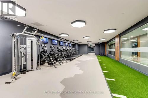 Gym - 2006 - 28 Freeland Street, Toronto, ON - Indoor