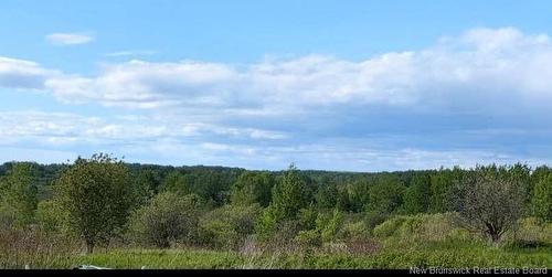 95.4 Acres Route 340, Canobie, NB 