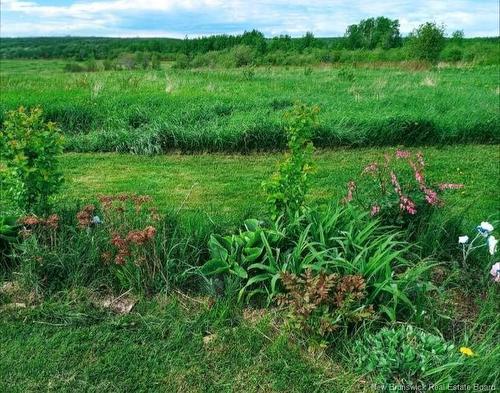 95.4 Acres Route 340, Canobie, NB 