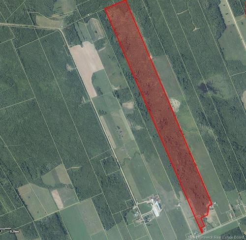 95.4 Acres Route 340, Canobie, NB 