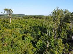 Lot 3 Albany New Road  Albany New, NS B0T 1B0