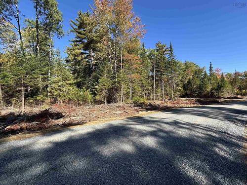 Lot 2-23 Highway 325, West Clifford, NS 
