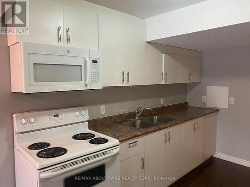 Bsmt - 3 Drohan Drive, Guelph, ON - Indoor Photo Showing Kitchen With Double Sink